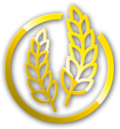 icon_01